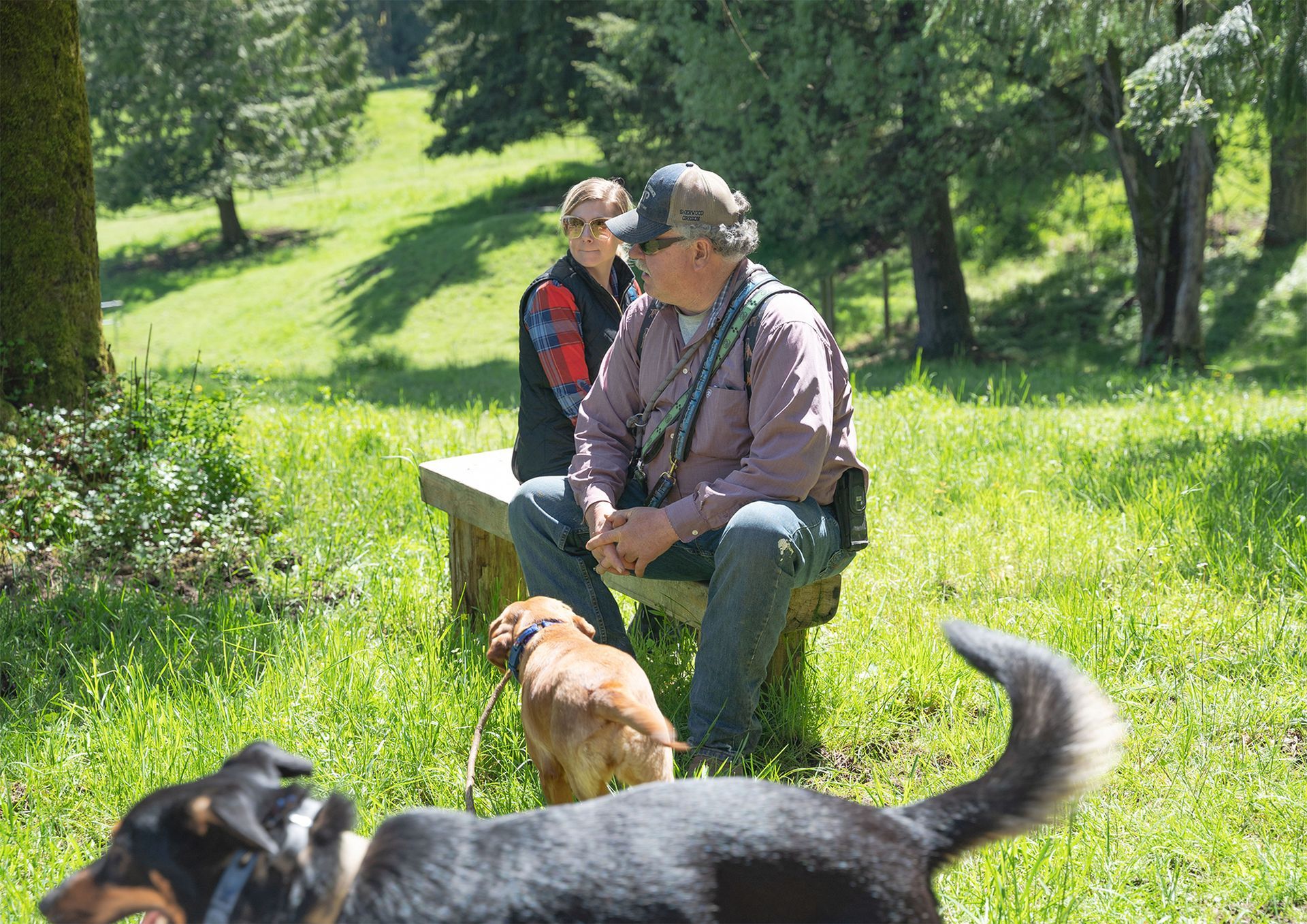 Dog training service