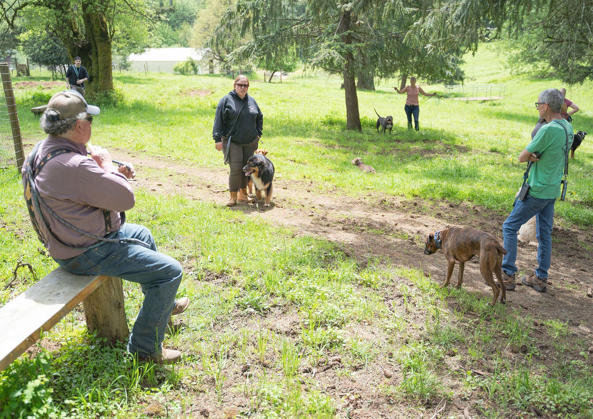 Dog training service