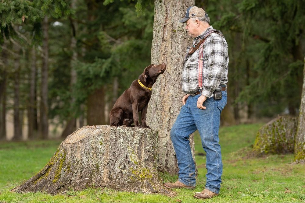 Dog training service