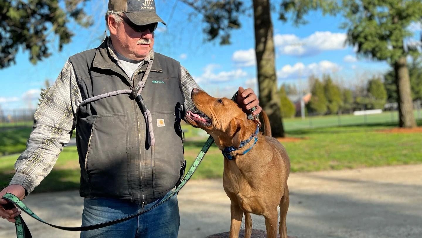 Dog training service