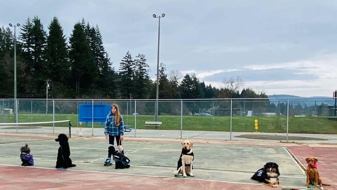 Dog training service