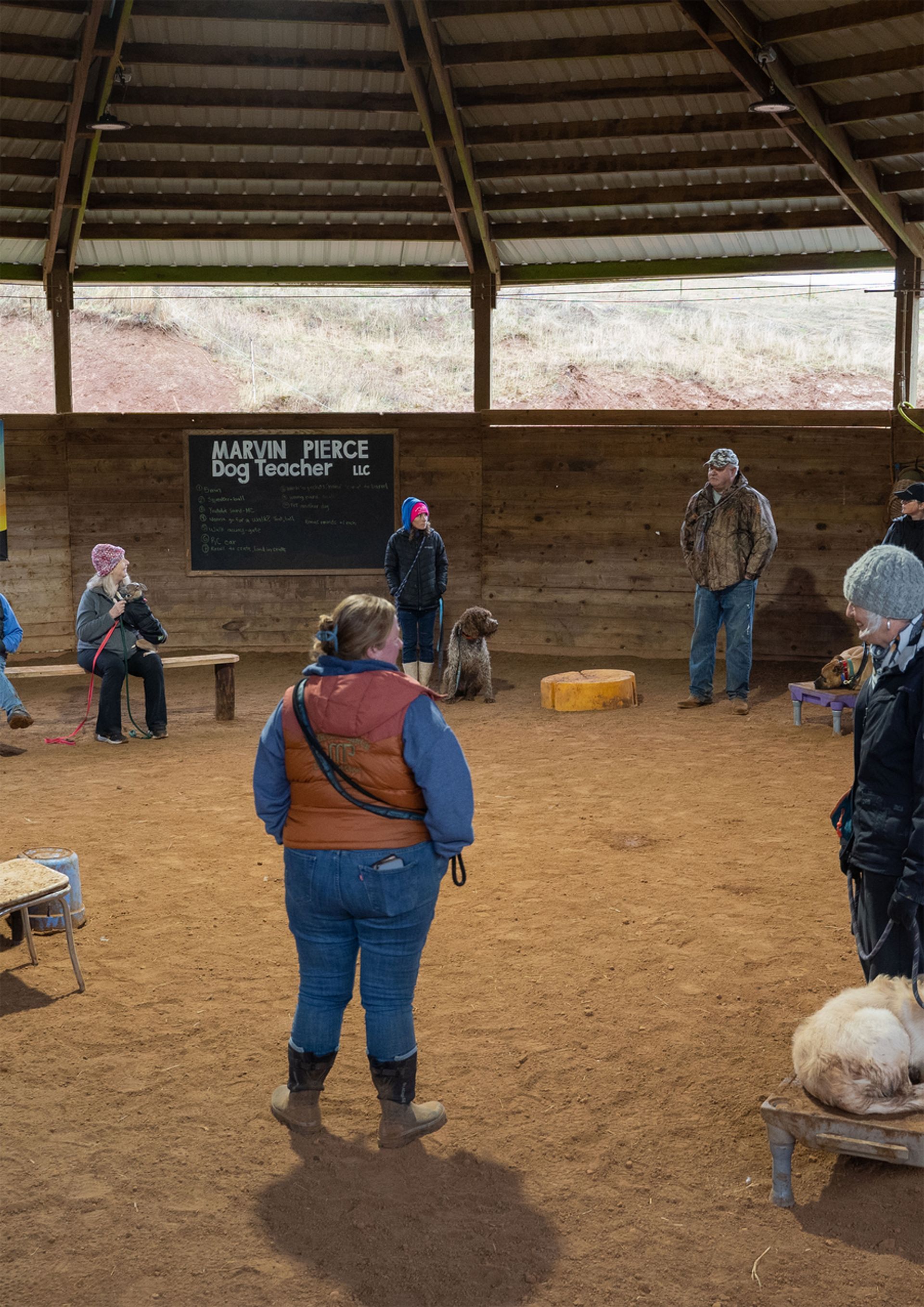Dog training service