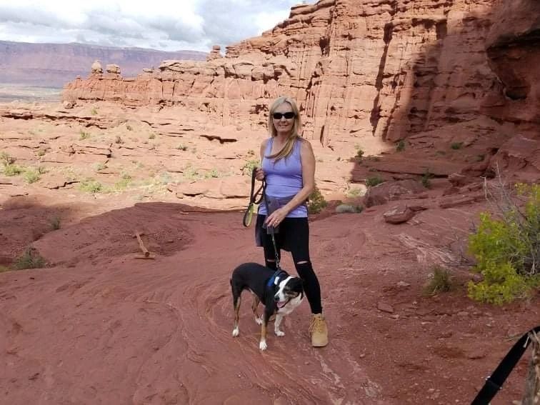 Dog training service