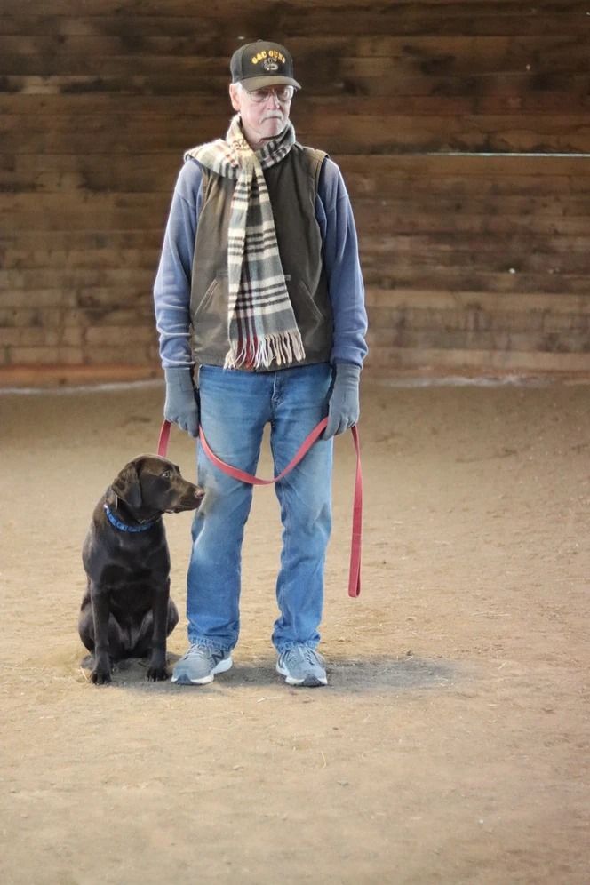 Dog training service