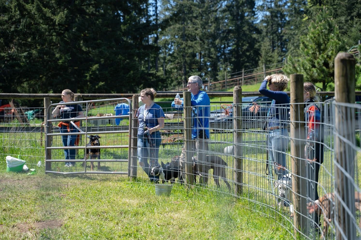 Dog training service