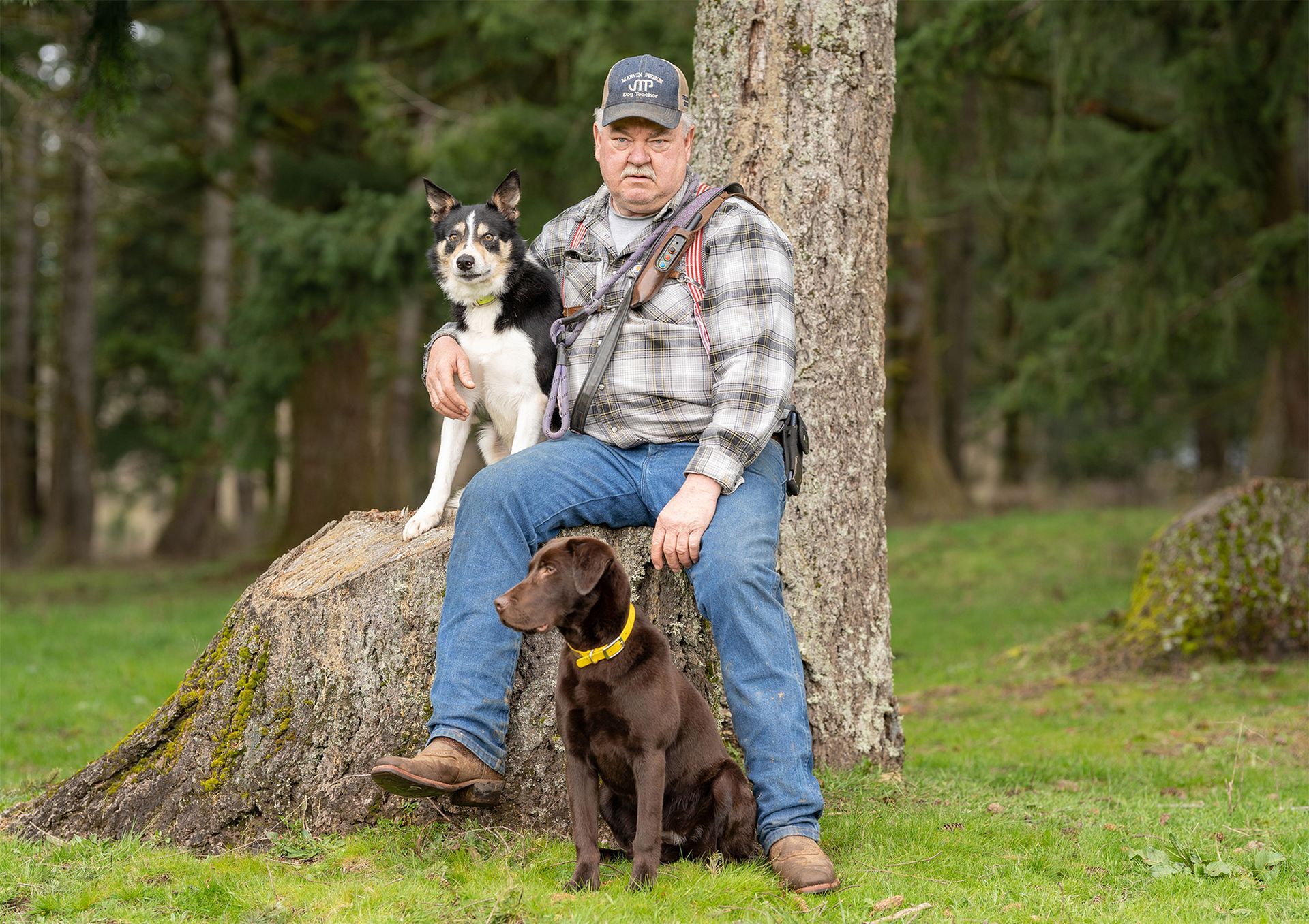 Dog training service
