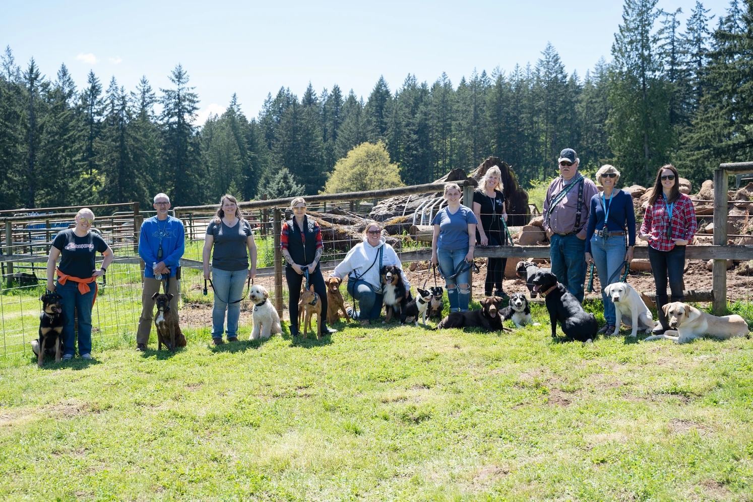 Dog training service