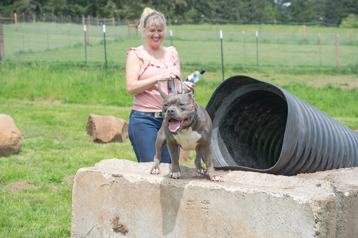 Dog training service