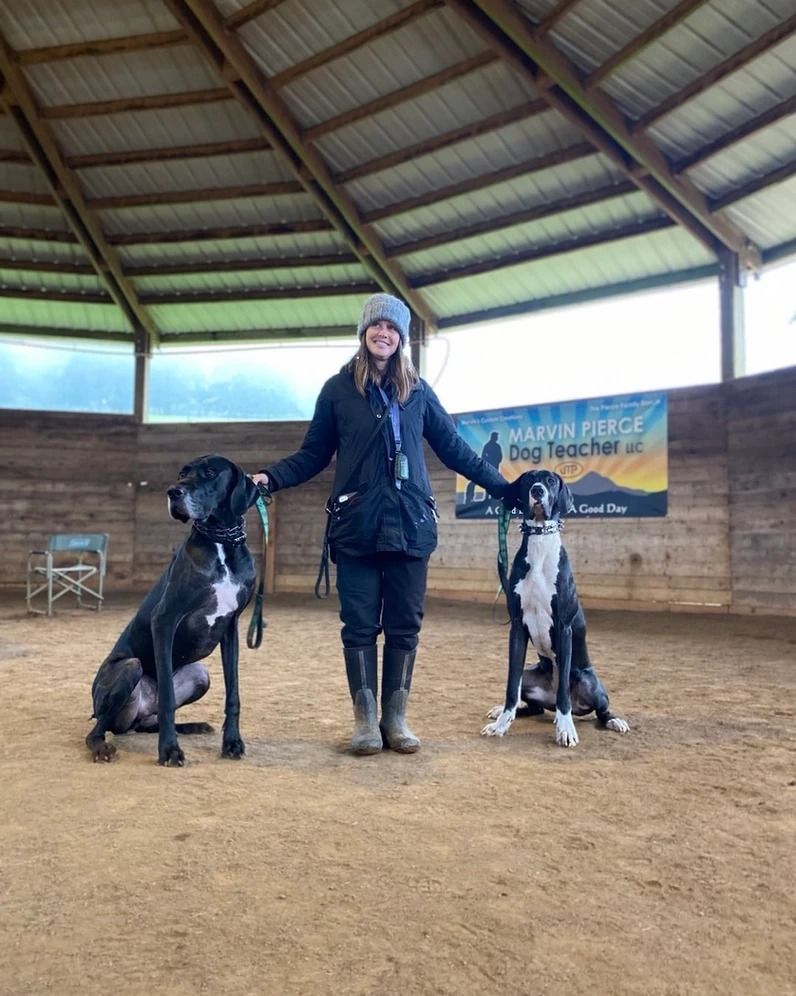 Dog training service