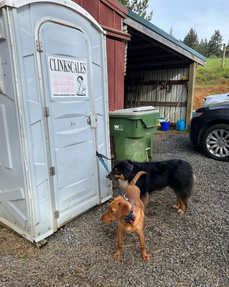 Dog training service