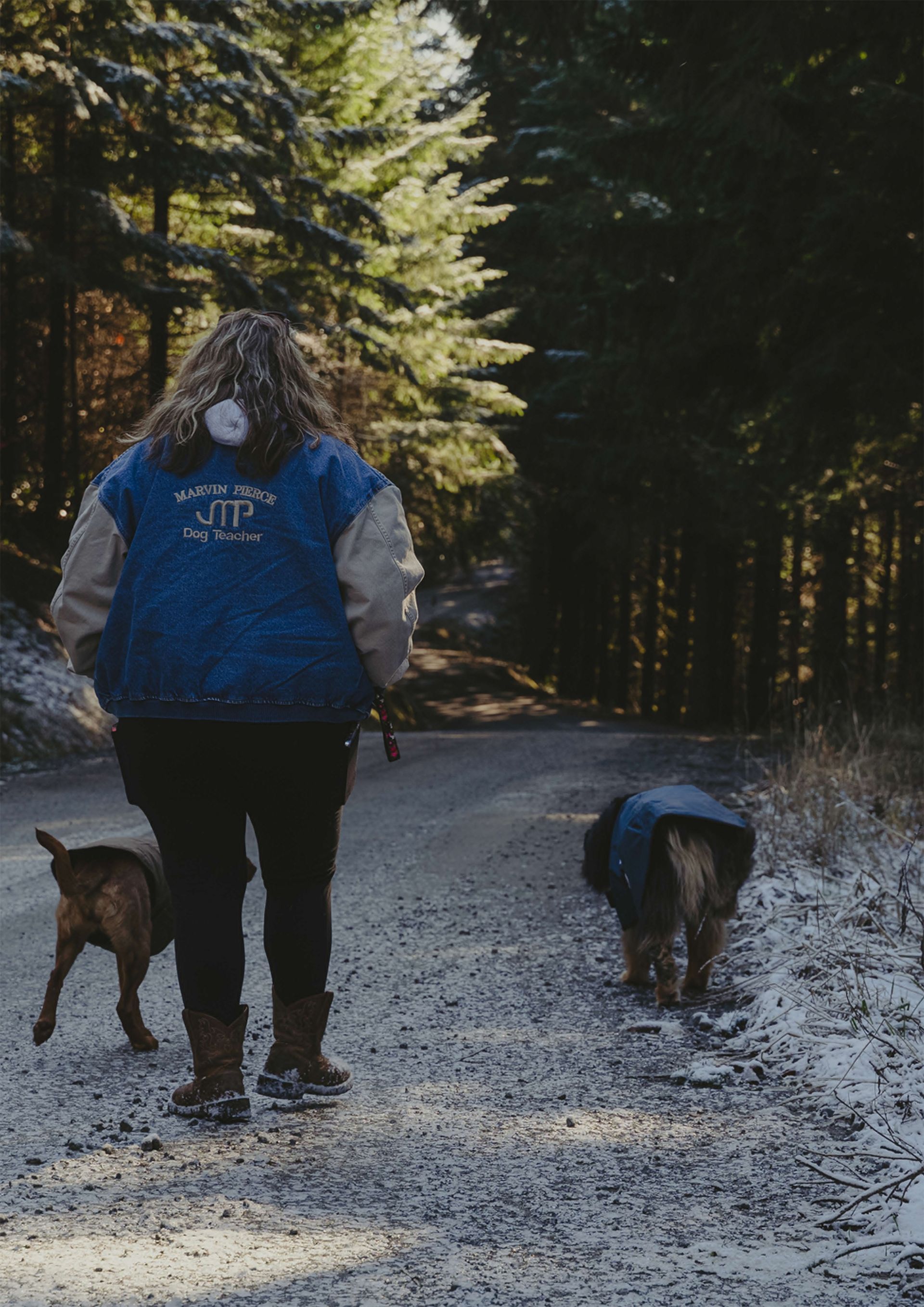 Dog training service