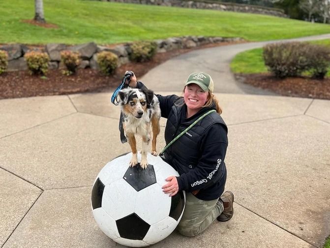 Dog training service