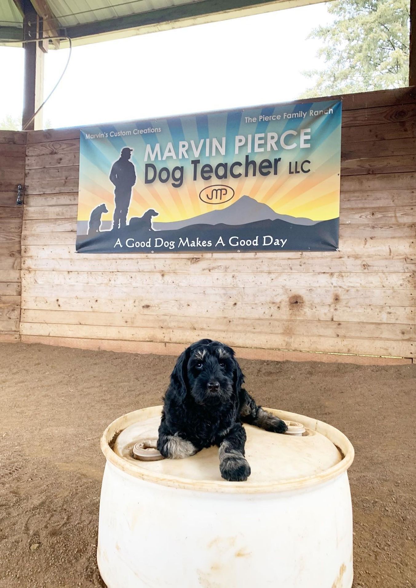 Dog training service