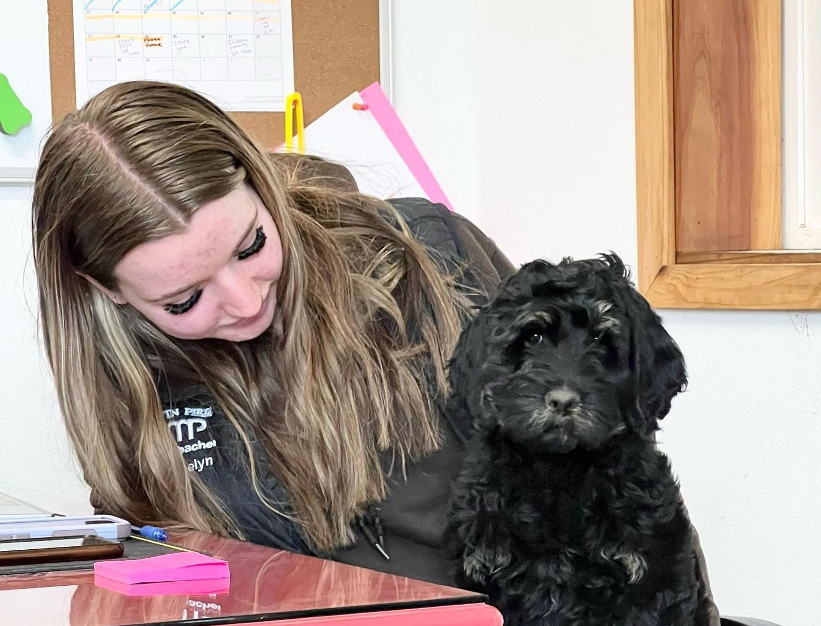 Dog training service