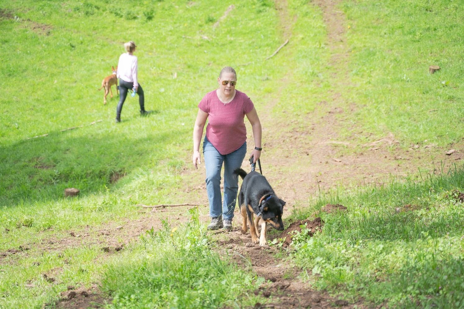 Dog training service
