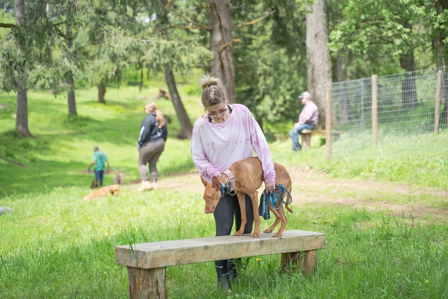 Dog training service