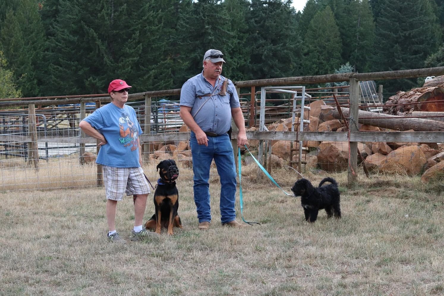 Dog training service