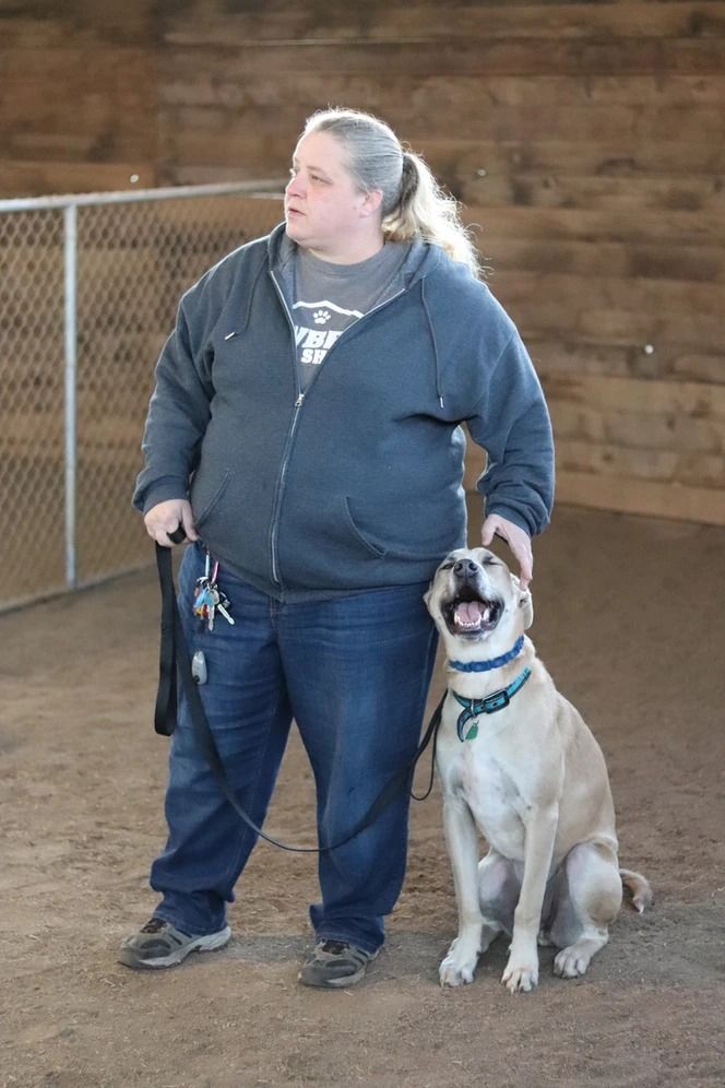 Dog training service