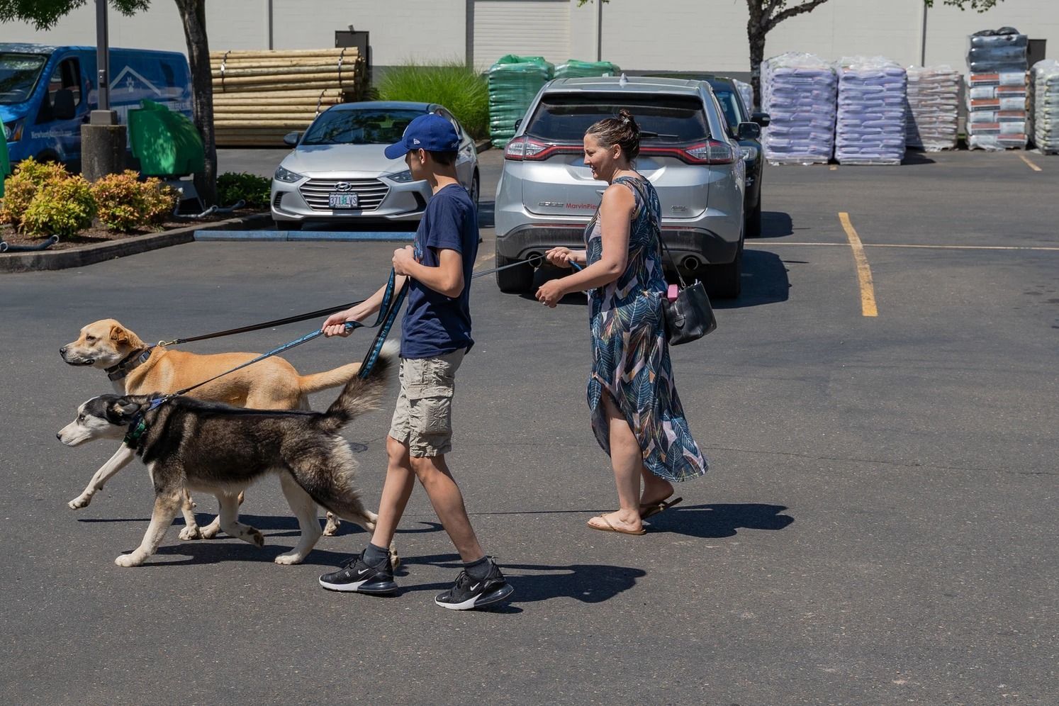 Dog training service