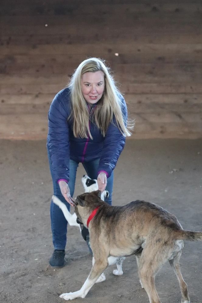 Dog training service