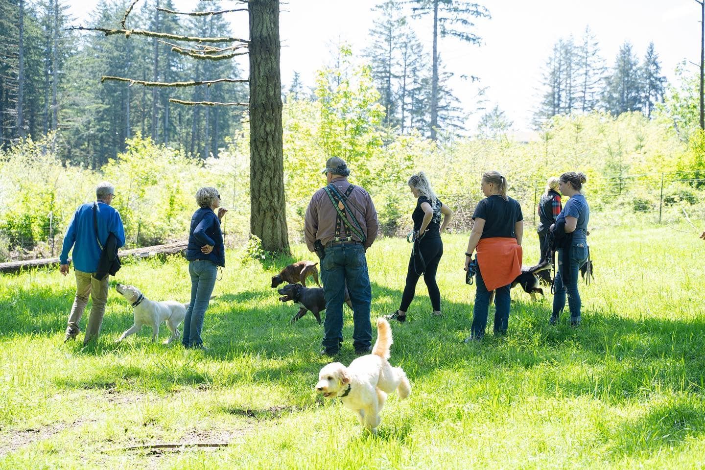 Group clinic
