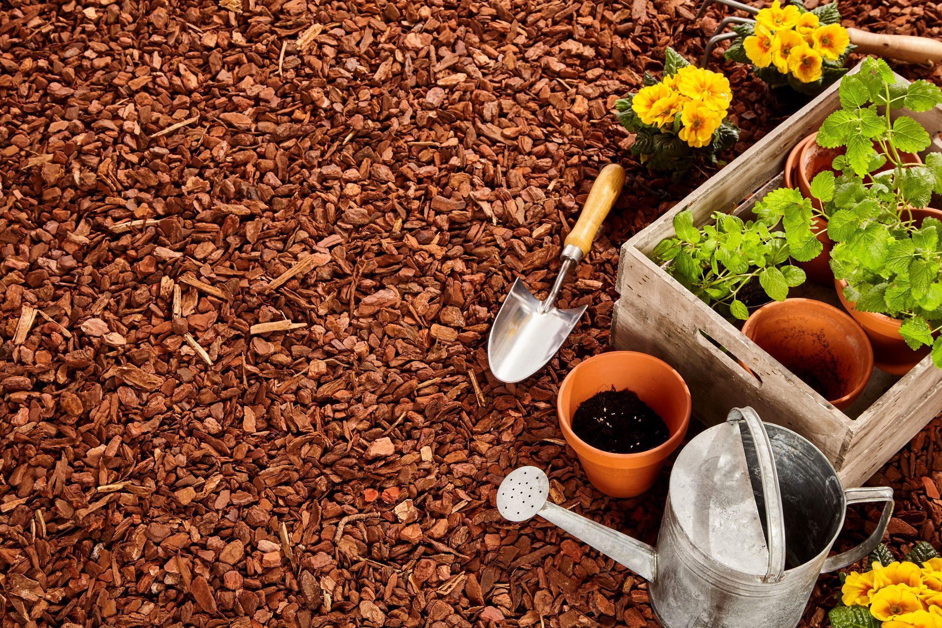 A gardening scene with a trowel, terracotta pots, plants in a wooden crate, and a metal watering can on brown mulch.