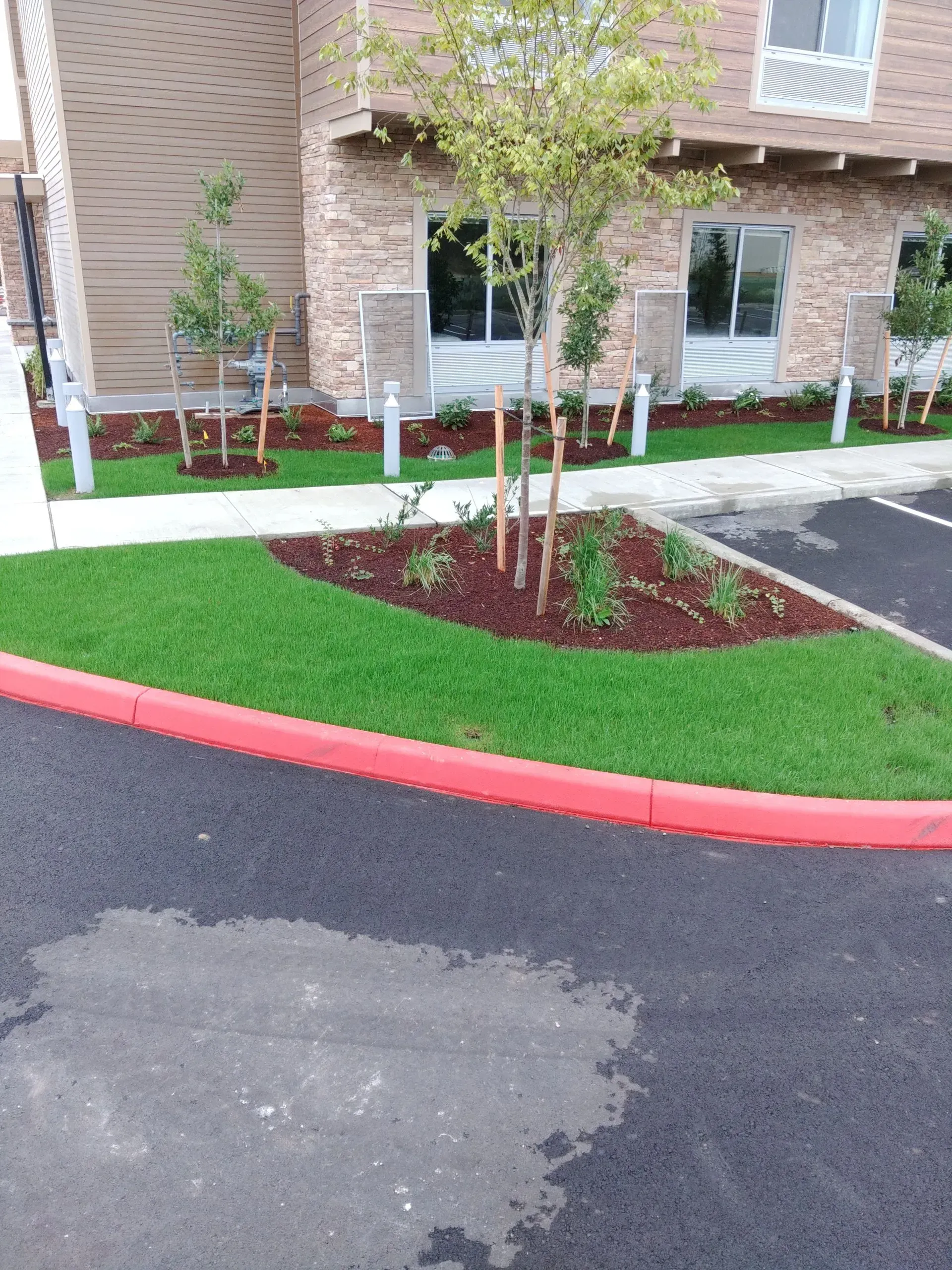 A landscaped area with green grass, a mulch bed containing young trees, and a red curb in front of a brick building.