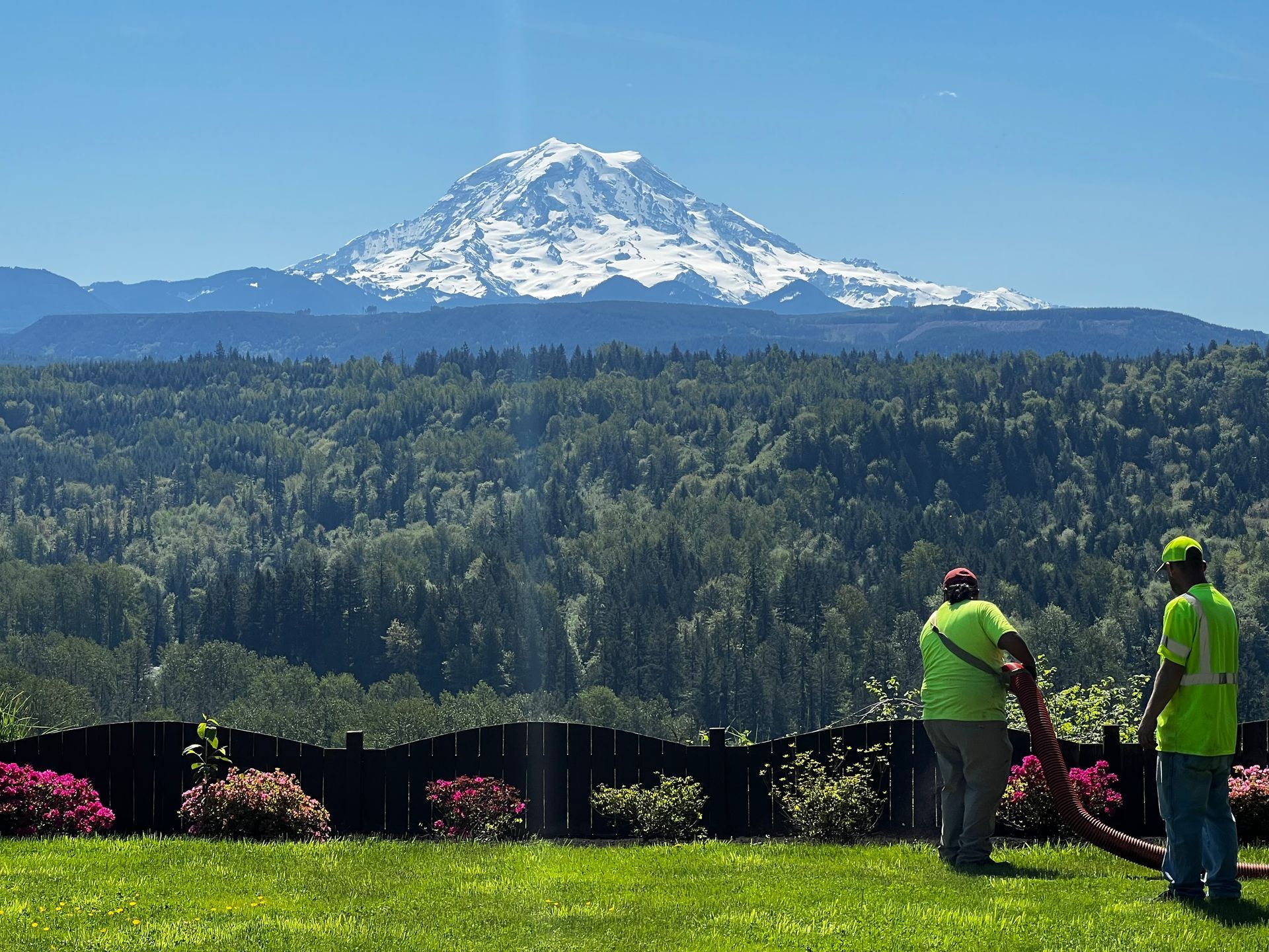 Snow-capped mountain above forest, with two people in neon green shirts by flowers in the foreground.