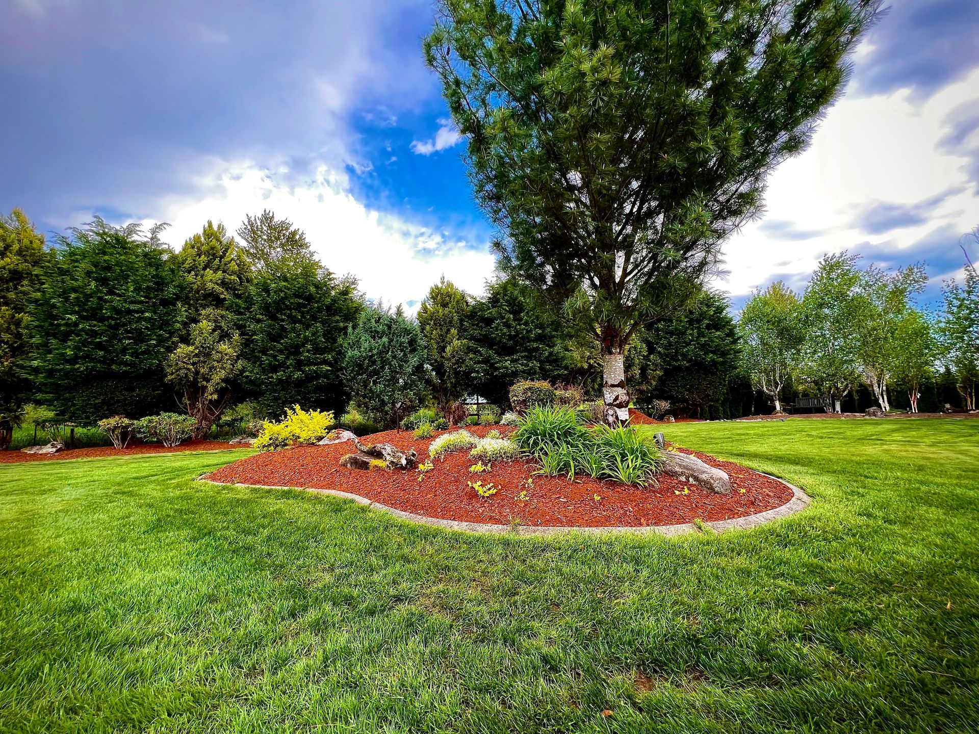 Lush green park with a large tree and colorful flower bed under a blue sky