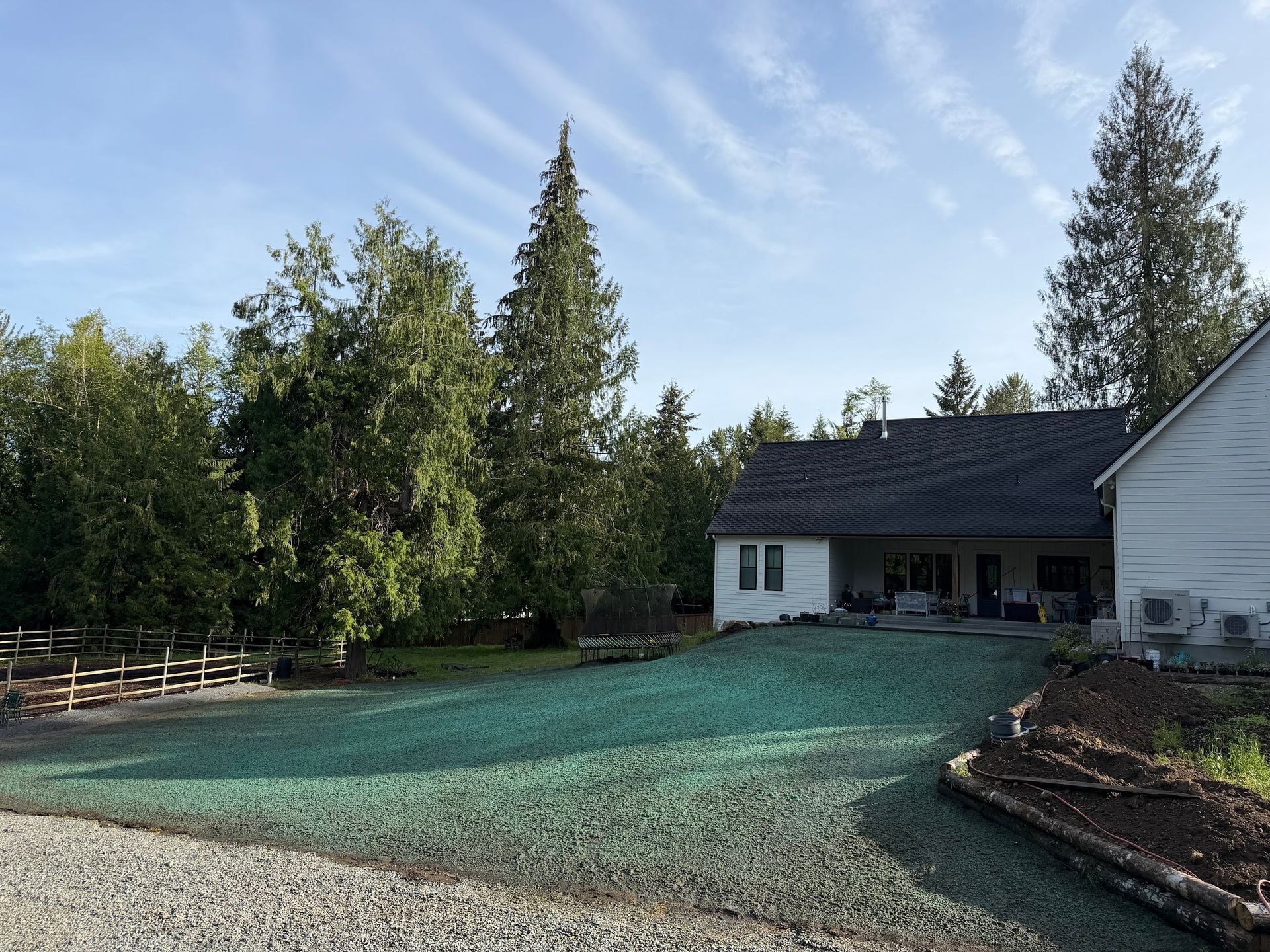Backyard with teal ground cover, white house, tall trees, and blue sky