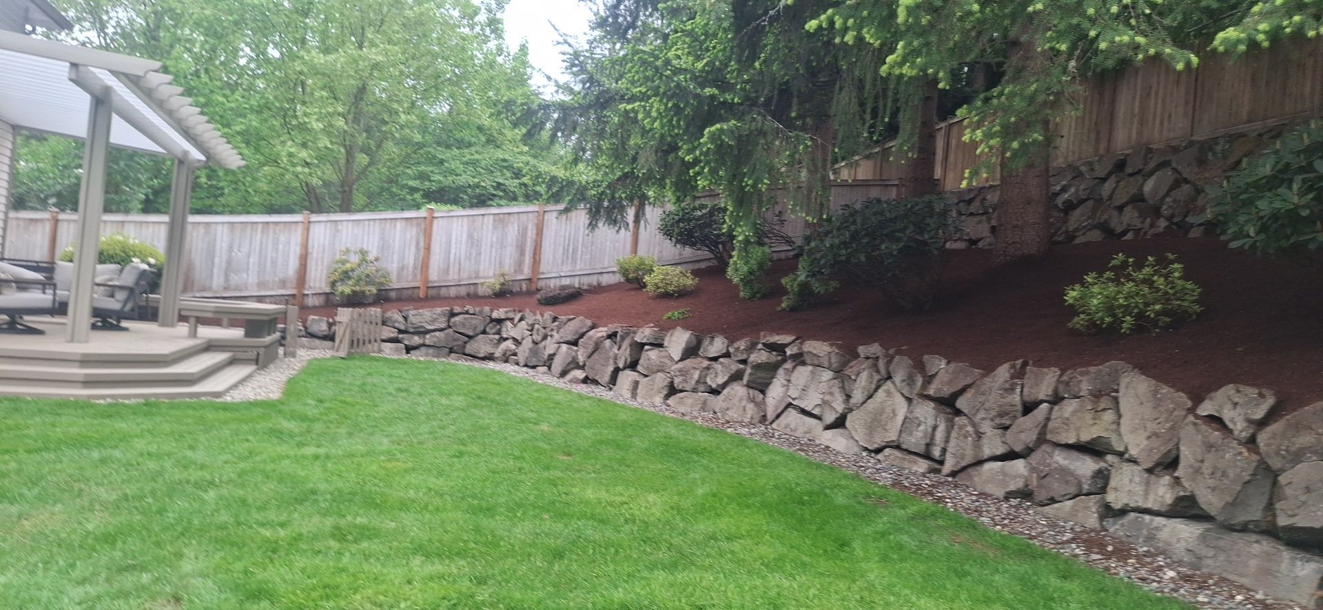Backyard lawn beside a stone retaining wall, with patio and stairs under a large tree