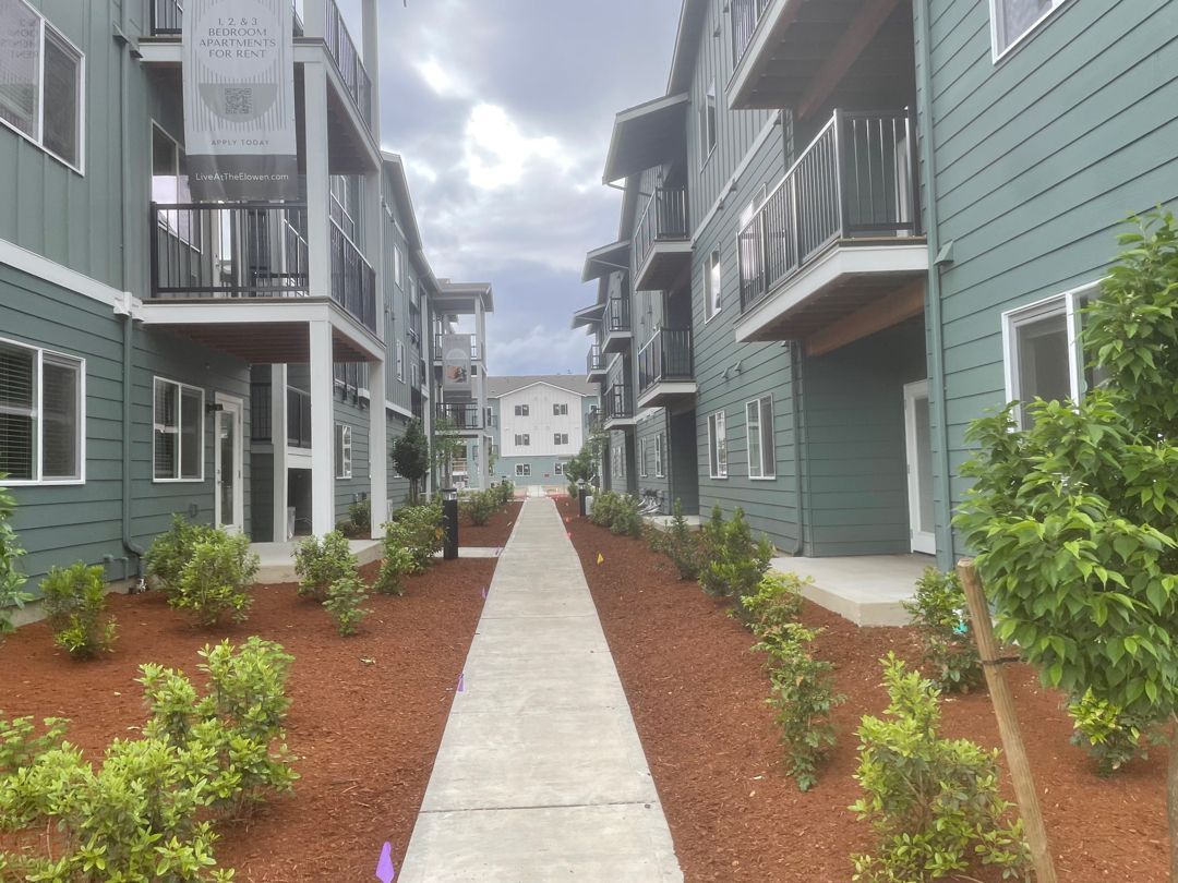 Apartment courtyard with a central concrete path, flanked by green buildings and landscaped shrubs