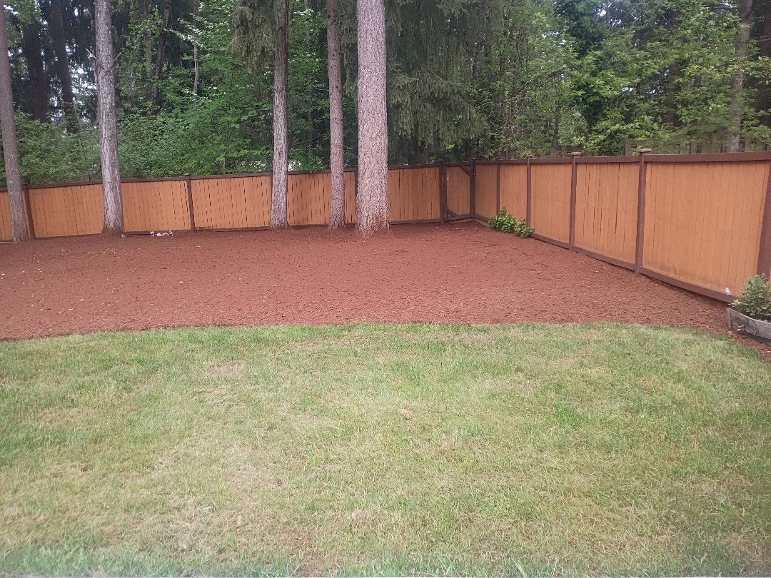 Backyard with green lawn, red mulch border, and wooden privacy fence lined with trees