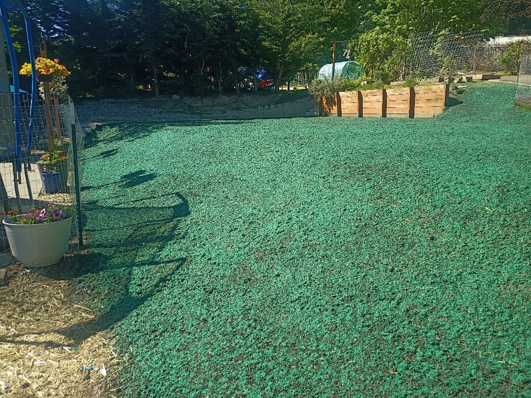 hydroseeding business