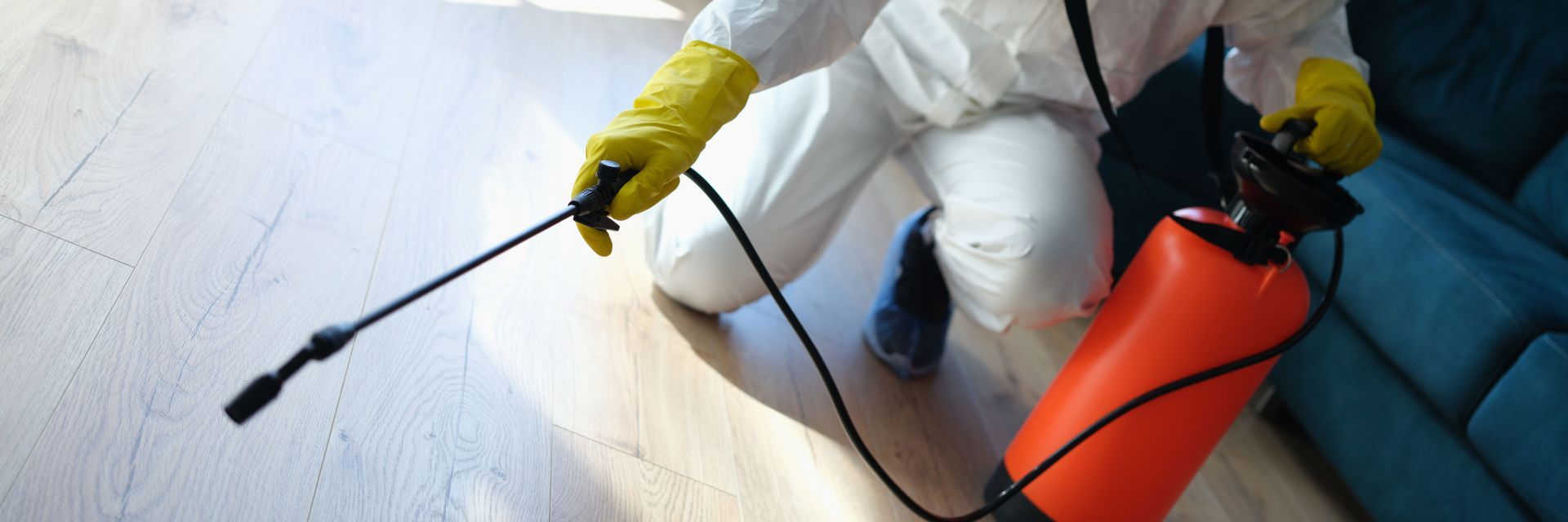 mold and biohazard cleanp