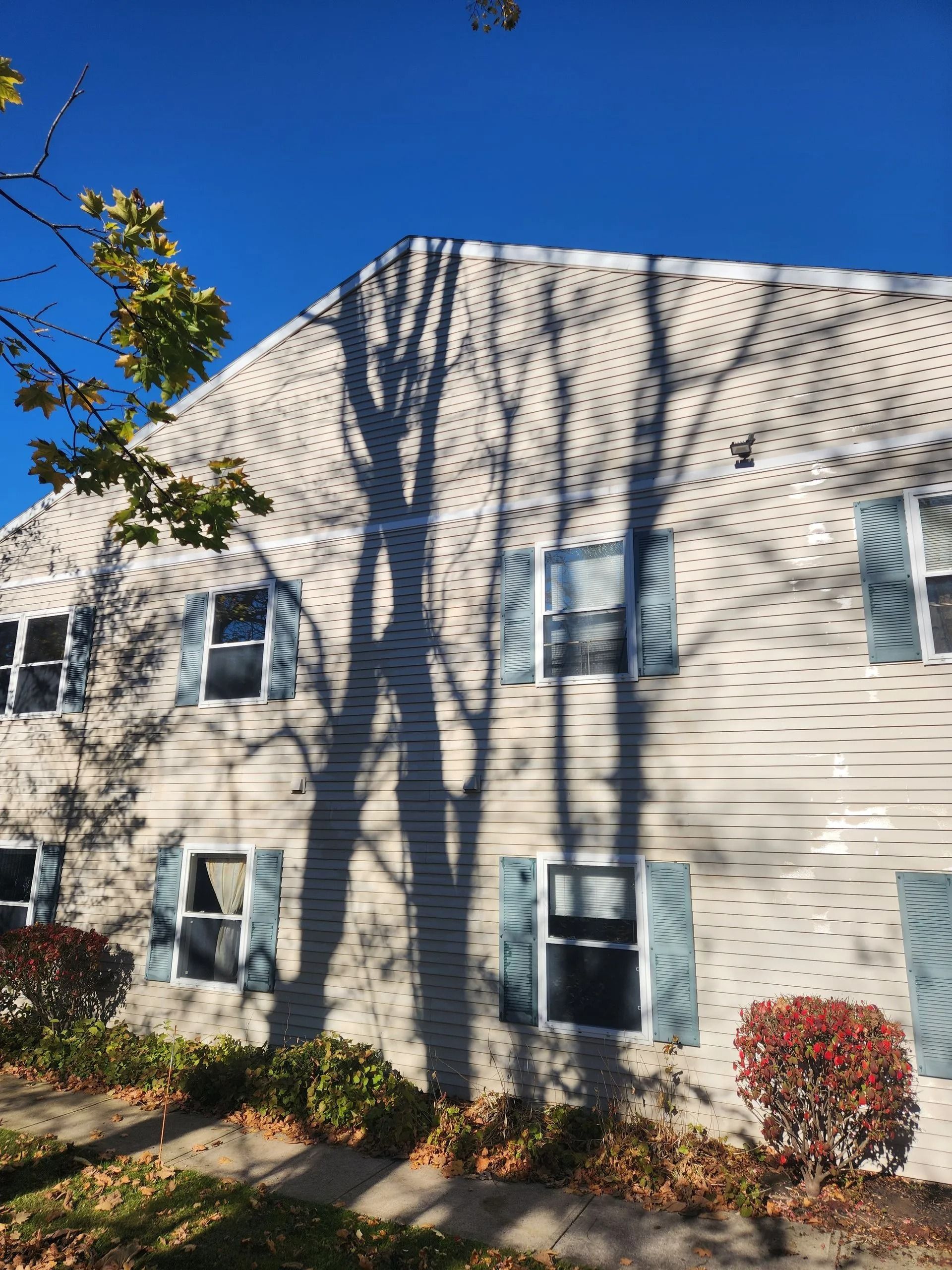 Two-story building with light-colored brick exterior; shadows of trees on facade; blue sky; blue shutters.