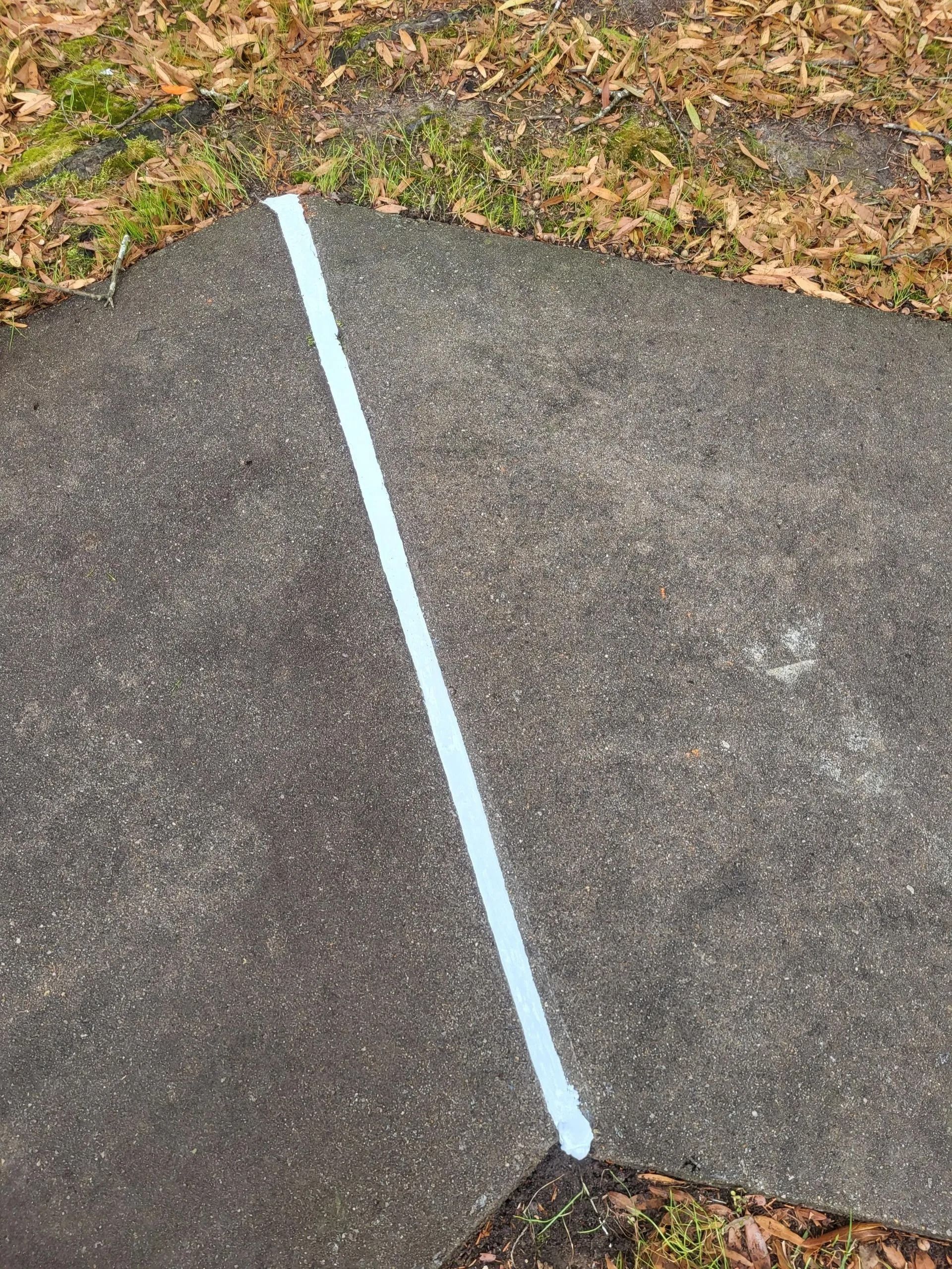 A white painted line divides a dark gray paved area with patches of grass and fallen leaves.