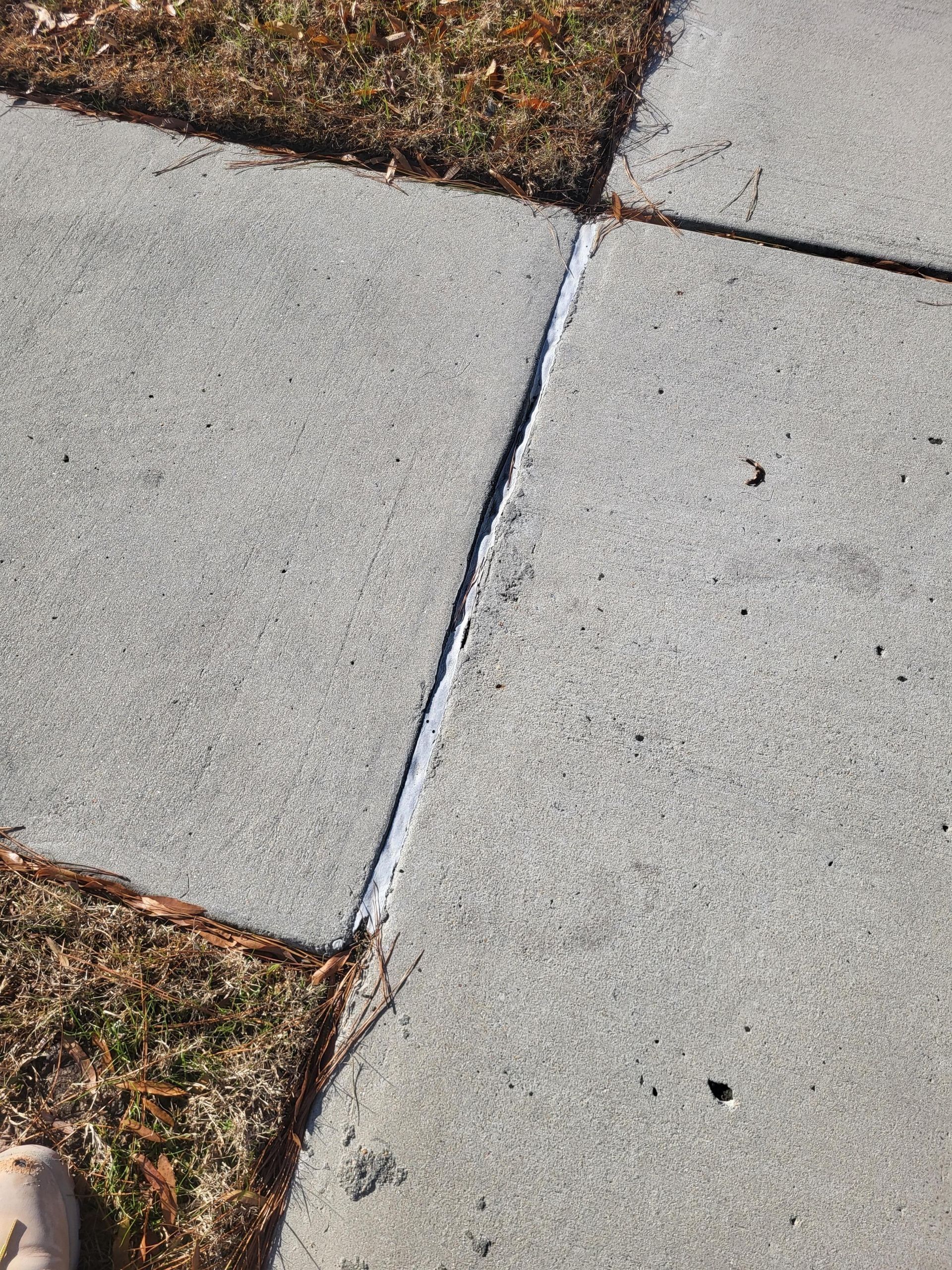 Concrete sidewalk sections with a filled joint and patches of grass.