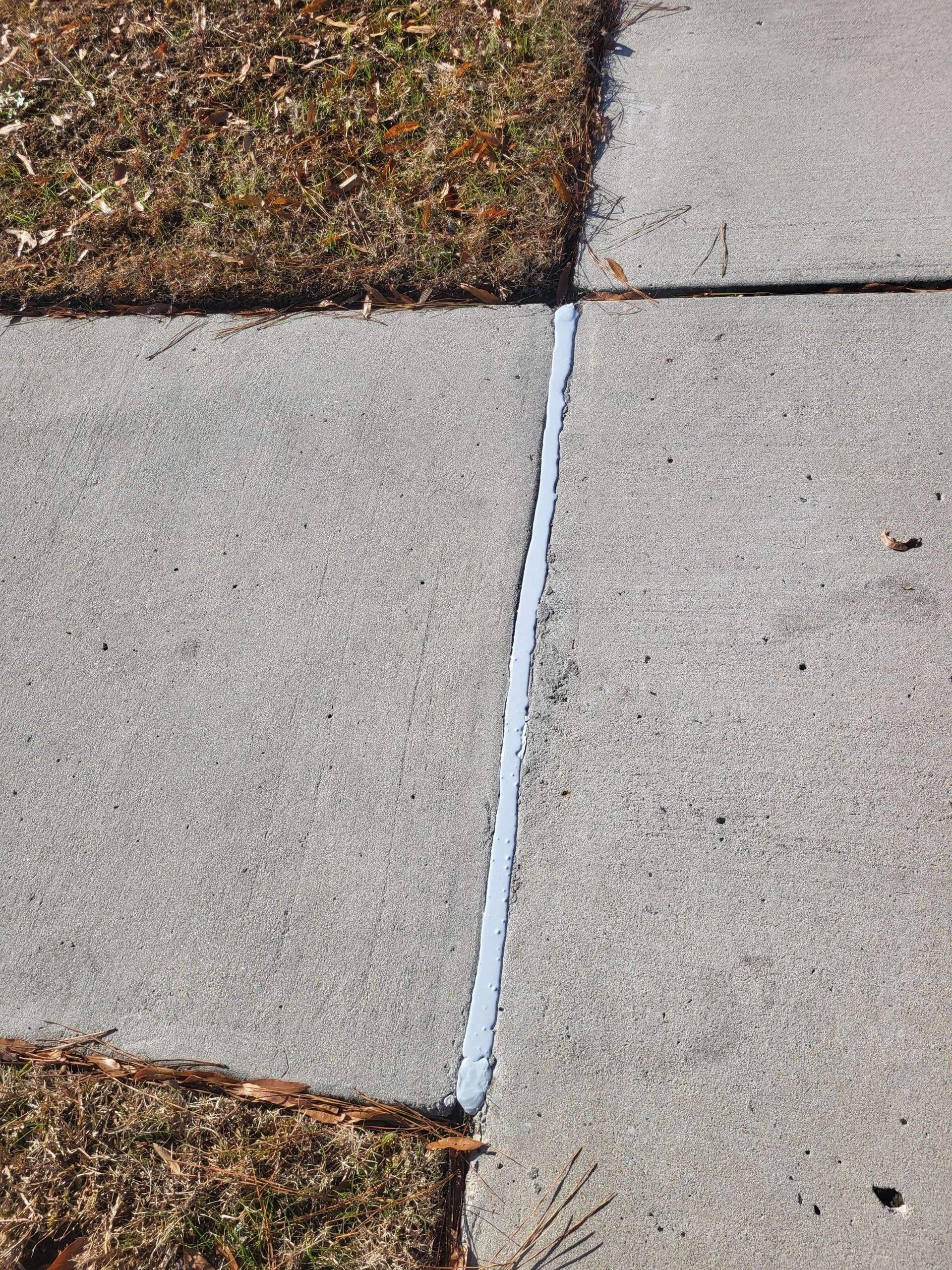 Gray concrete sidewalk with a long, filled joint separating two sections.