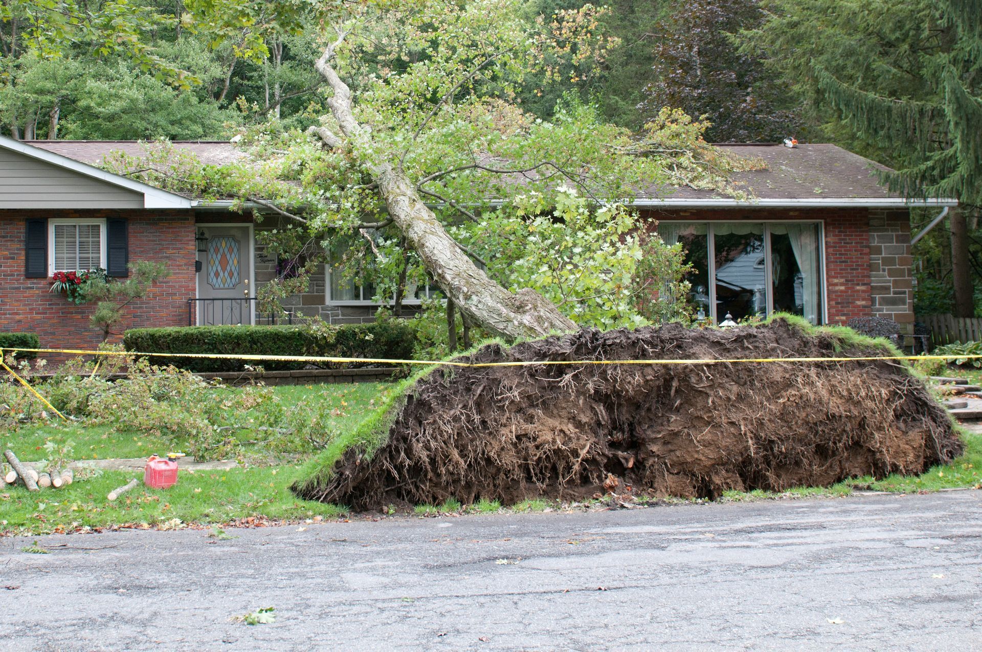 Large uprooted tree lying in front of a brick house after storm damage, with a fallen trunk across the yard.