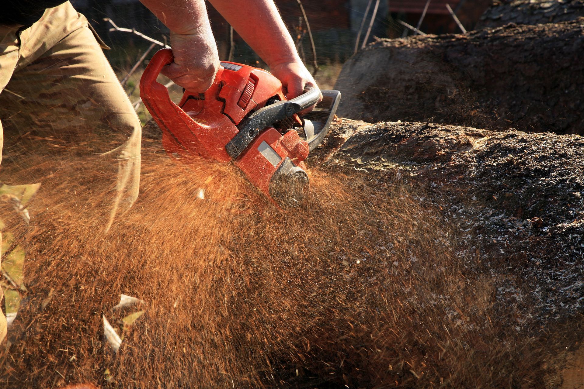 Person using a red chainsaw to cut wood, sending sawdust flying outdoors