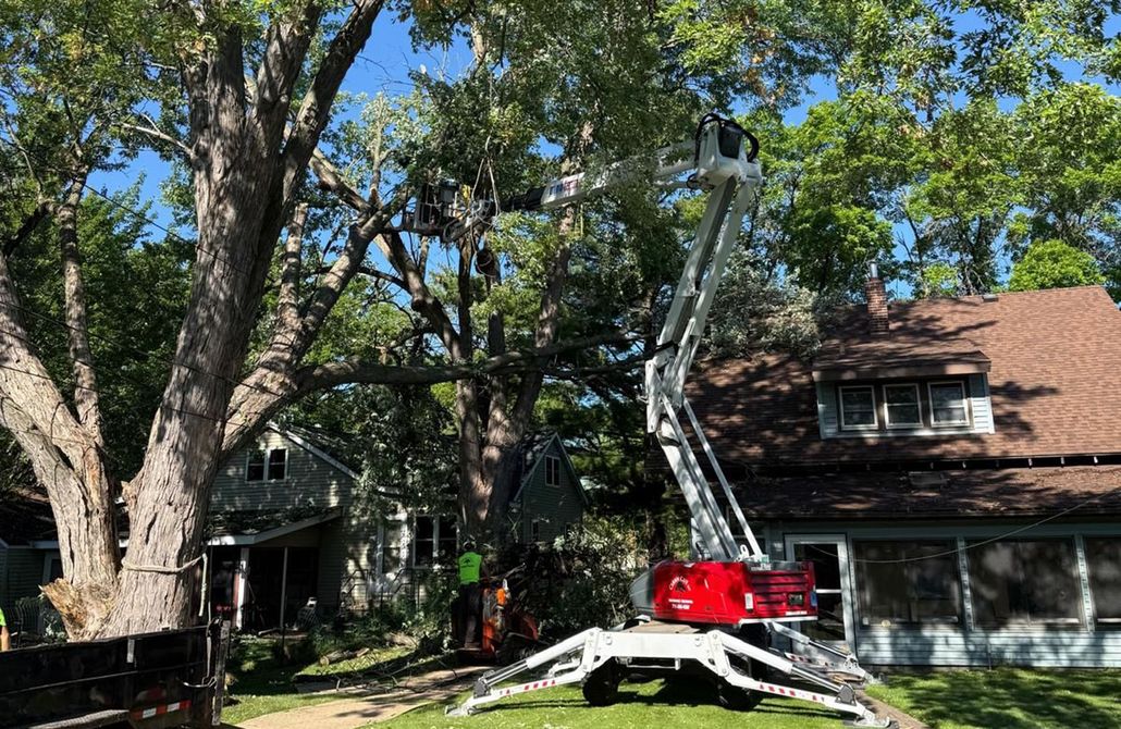 Red tree trimmer lift beside a brick house in a leafy yard, extended up into the trees.