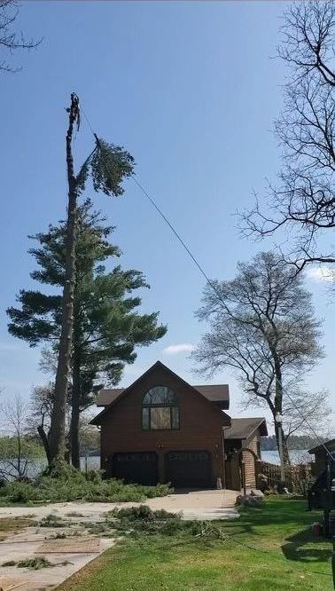 House with a tall tree leaning diagonally beside it on a sunny day