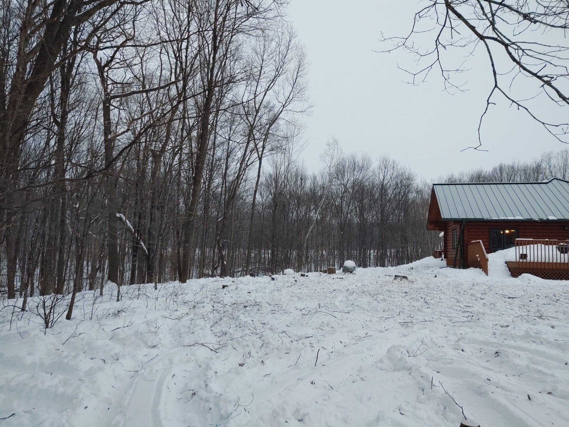 Snowy forest path beside a wooden cabin under a gray winter sky
