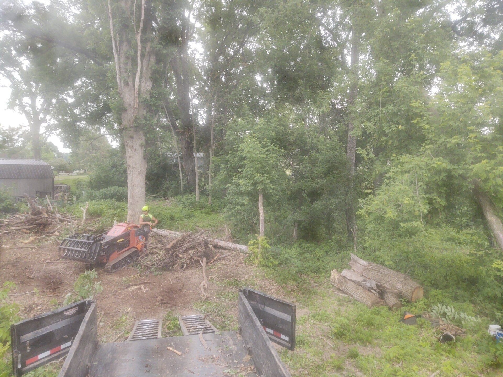 Wooded yard with felled logs, stacked branches, and two black chairs in the foreground