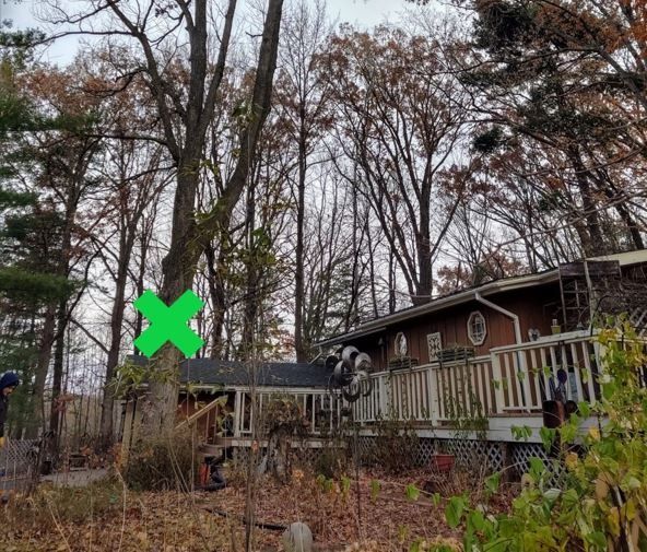 Rustic house with porch and leafless trees in a wooded yard, marked by a green X.