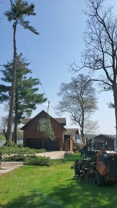 Brick house with a sloped roof amid tall trees and green lawn on a sunny day