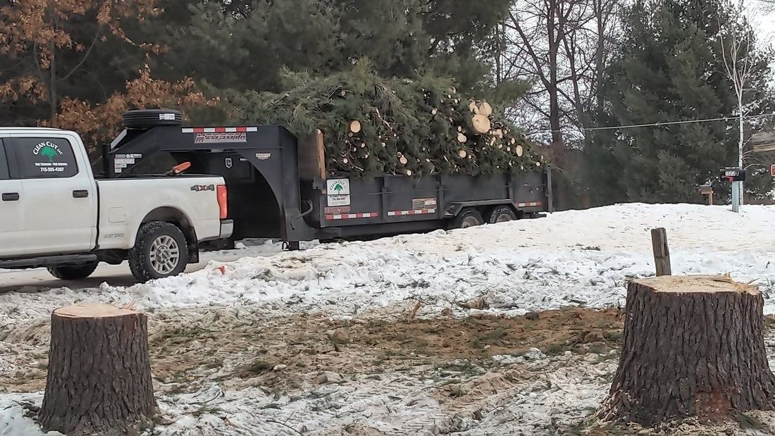 White pickup and black flatbed trailer parked on snowy roadside with tree stumps in foreground
