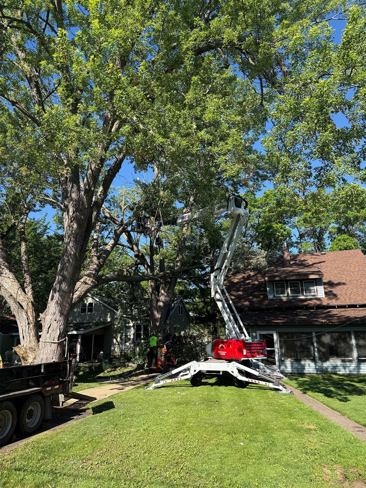 Tree removal truck with red crane working in front of a brick house on a grassy lawn