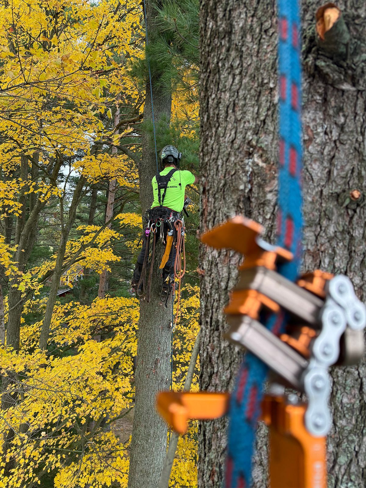 Mountain biker in neon green rides down a steep forest trail beside a tree trunk and orange bike gear.